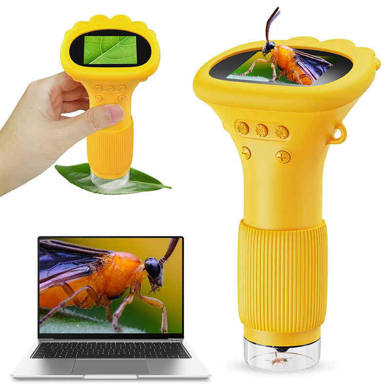Education Kids Definition - Portable Digital Microscope for Kids Pocket