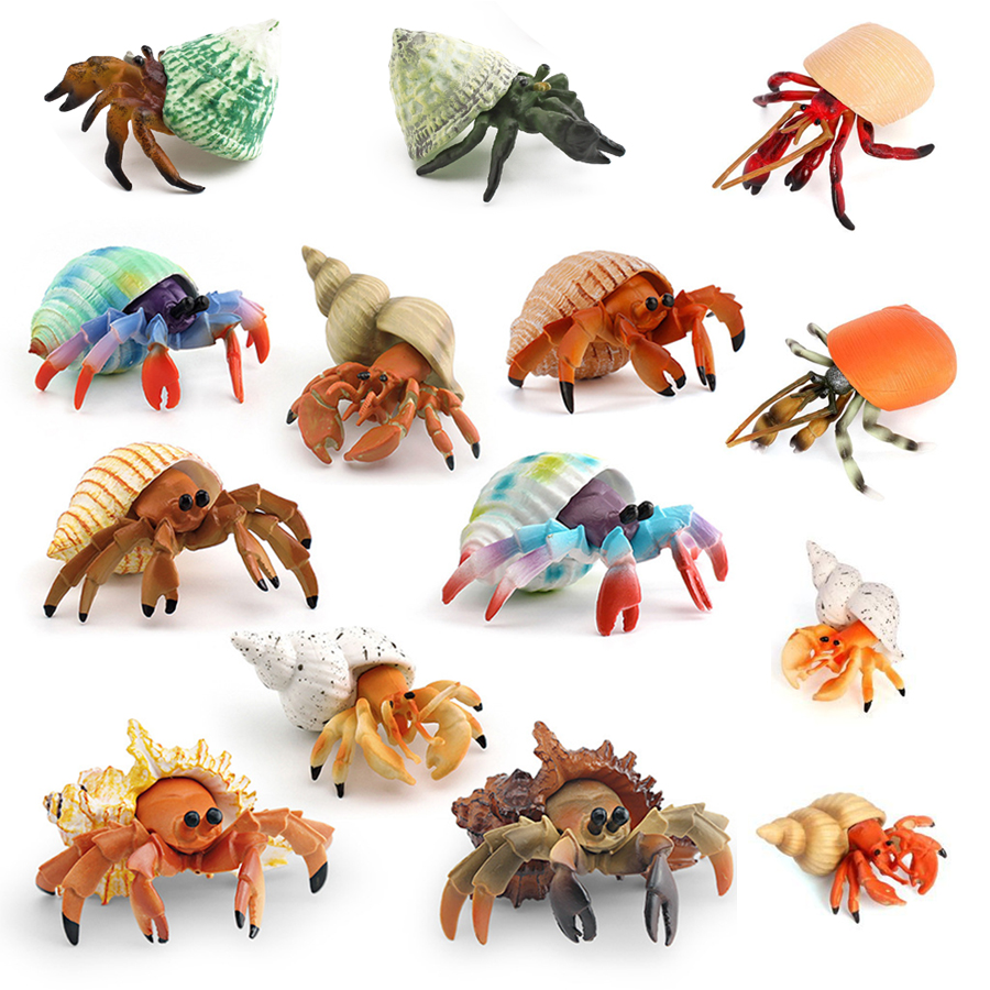 Kids Educational Game - Realistic Hermit Crab Figurine Durable PVC