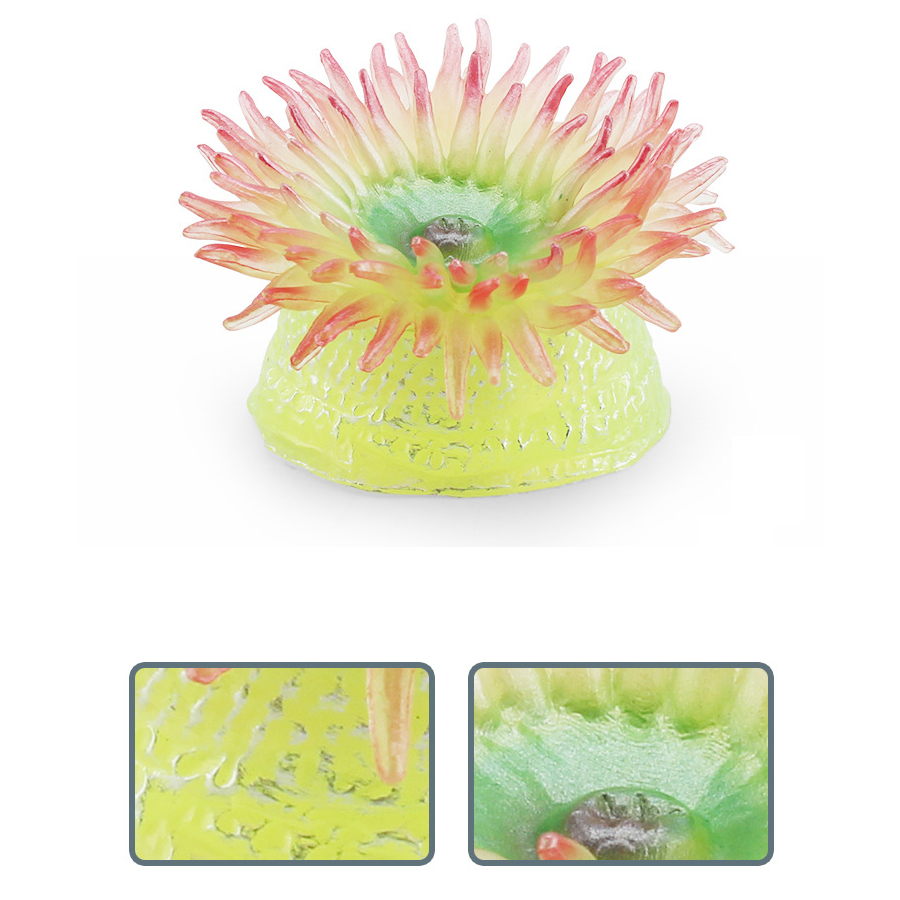 Realistic Coral Sea Anemones S - đánh giá và giá Kids Education Picture