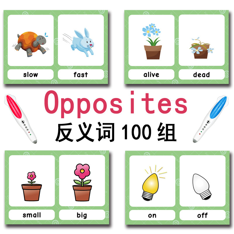 The 100 Groups Opposites Flash - đánh giá và giá Kids Educational Game
