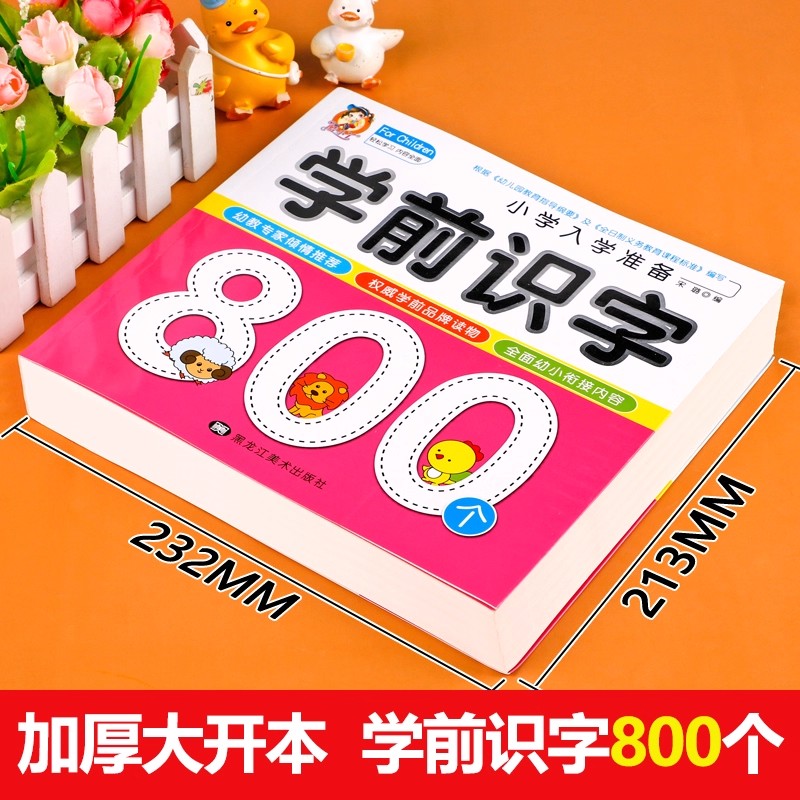 Preschool Literacy: 800 Chines - đánh giá và giá Kids Education Picture