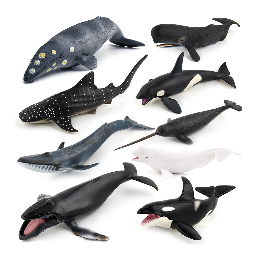 Realistic Humpback Whale Sperm - đánh giá và giá Kids Educational Game