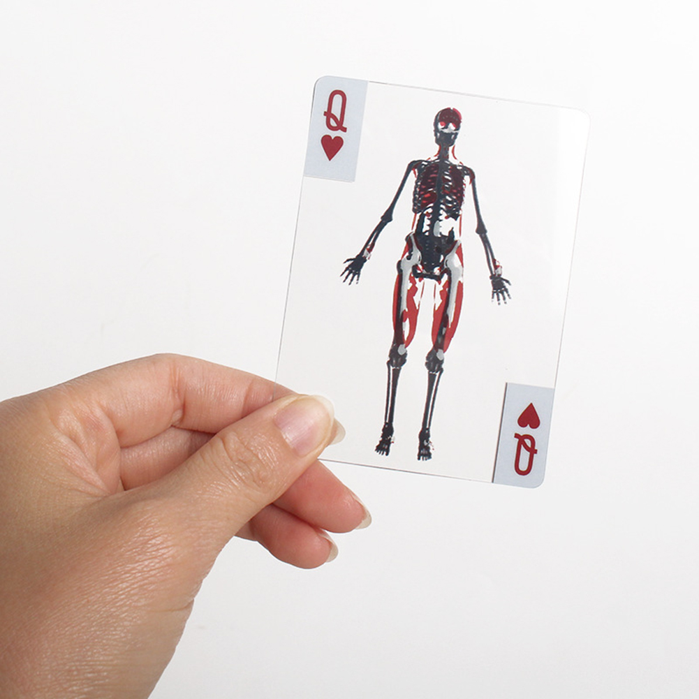 3D Image Educational Cards Wea - đánh giá và giá Kids Education Images
