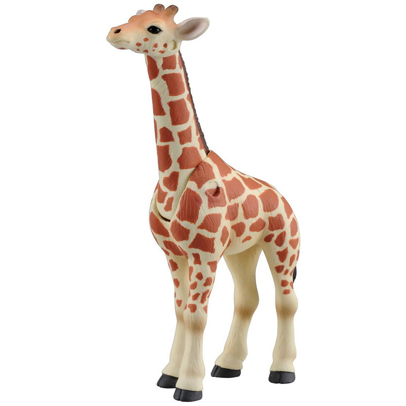 Original Takara Tomy Ania Gira - đánh giá và giá Kids Education Yes