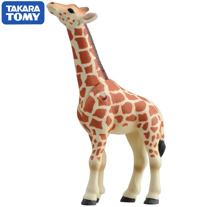 Original Takara Tomy Ania Gira - đánh giá và giá Kids Education Yes