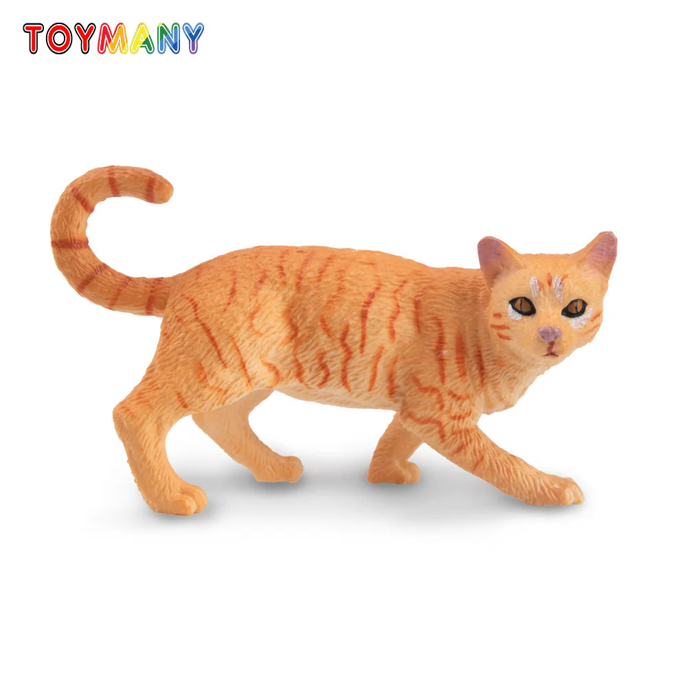 Toymany Simulation Striding Or - đánh giá và giá Kids Education Yes