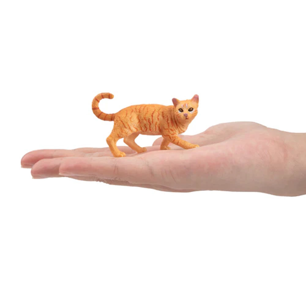 Toymany Simulation Striding Or - đánh giá và giá Kids Education Yes