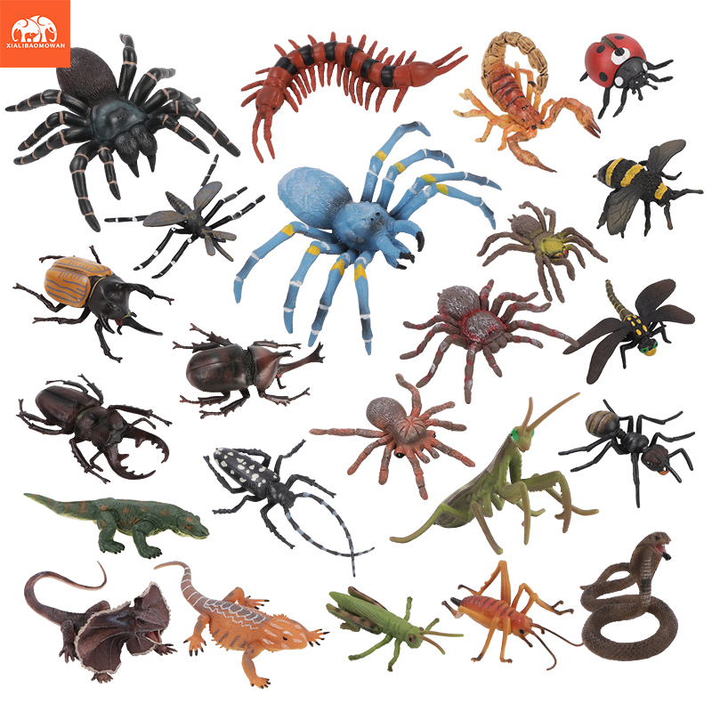 Educational Simulation Insect  - đánh giá và giá Kids Education Picture