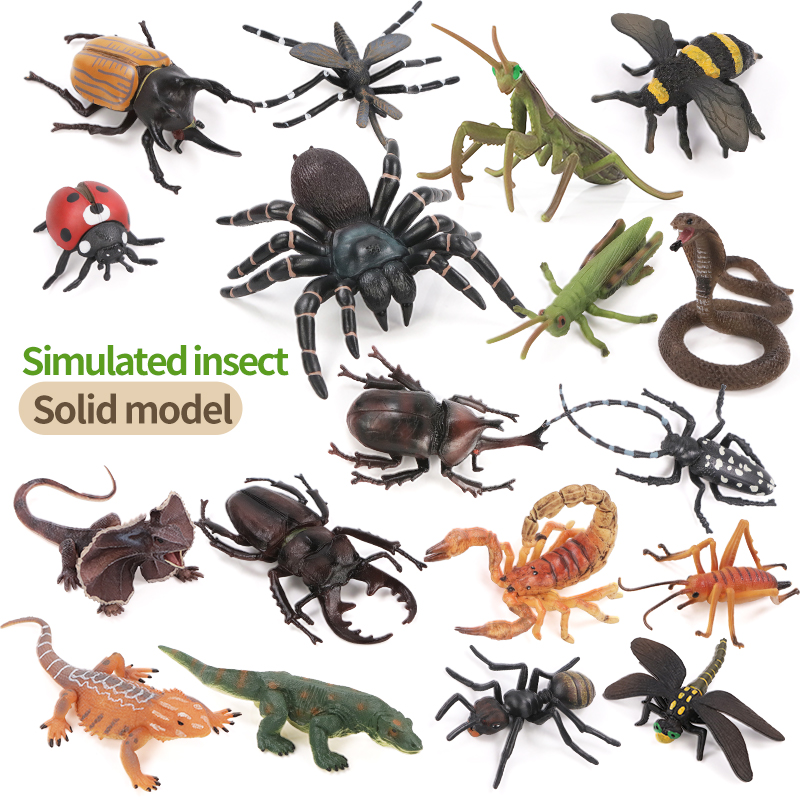 Educational Simulation Insect  - đánh giá và giá Kids Education Picture